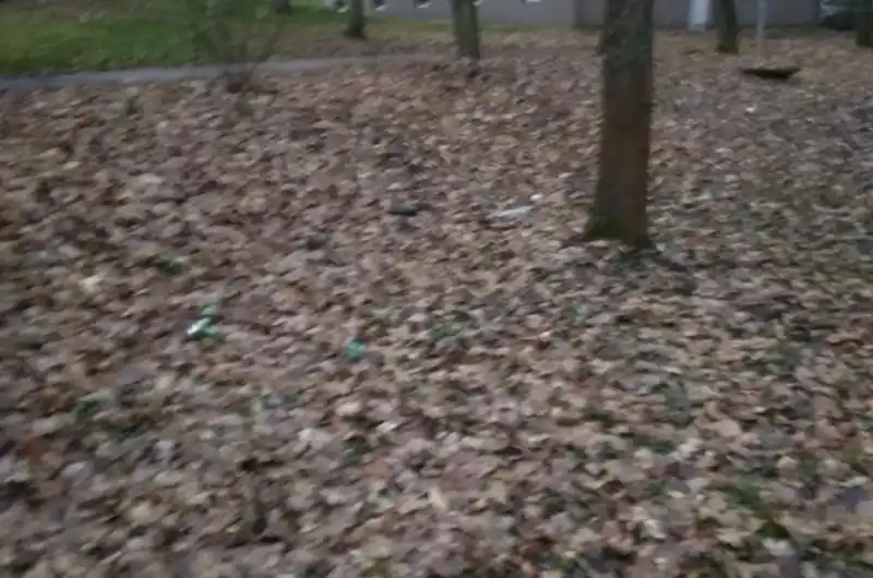 listí