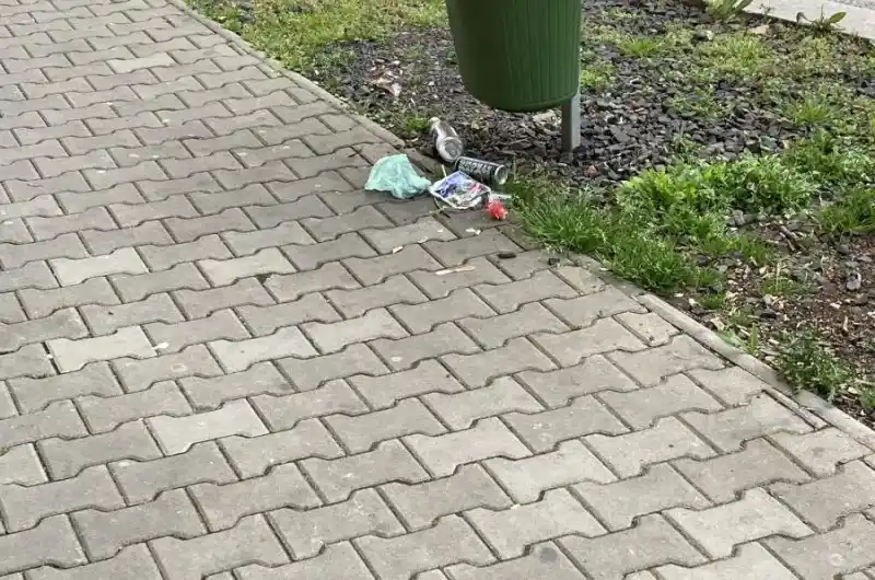 tento kos je malý