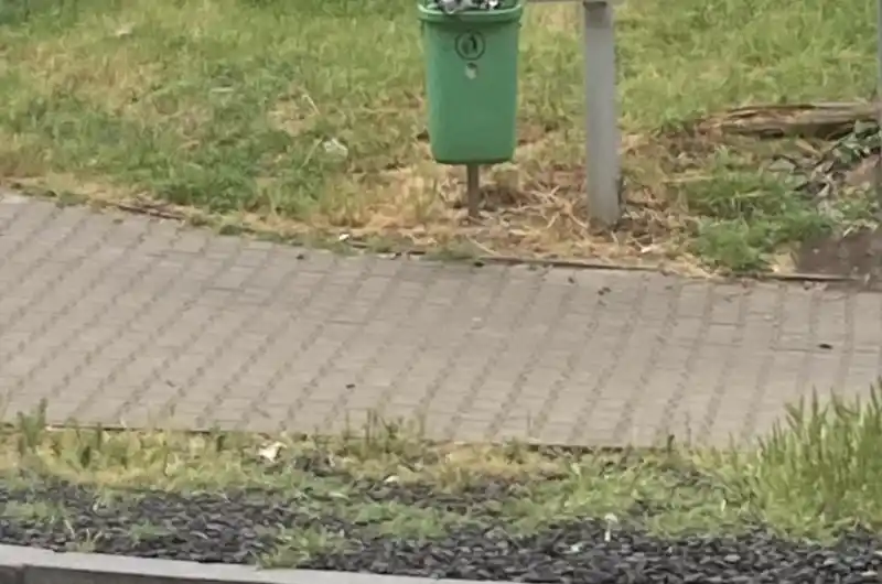 Zastávka Drahomíra