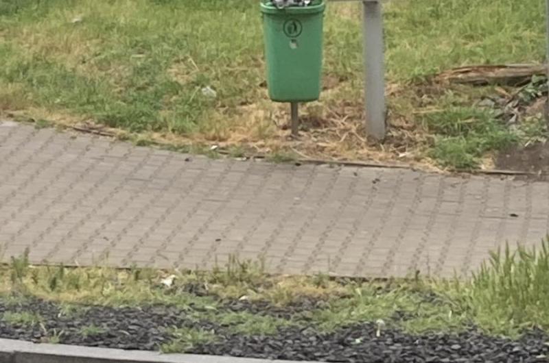 Zastávka Drahomíra