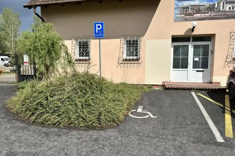 Keř