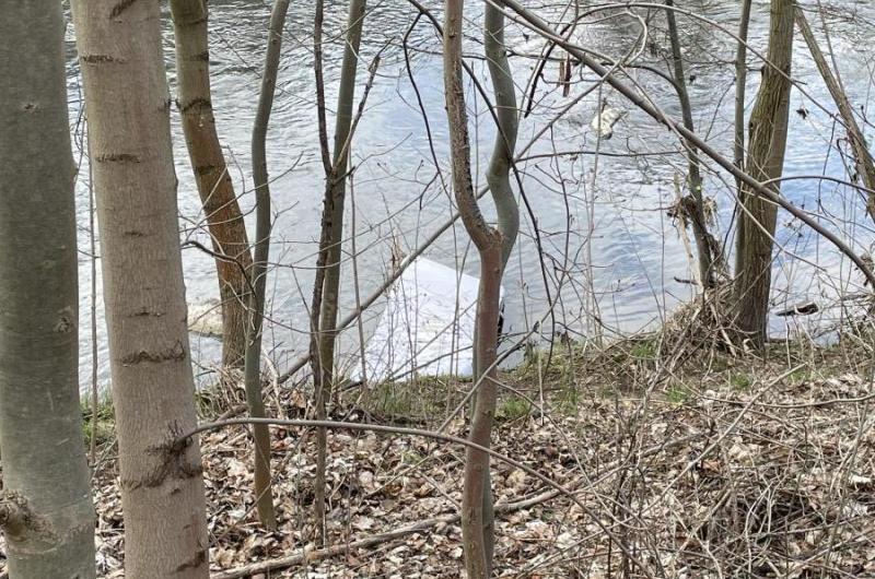 Foto matrace v Ohři