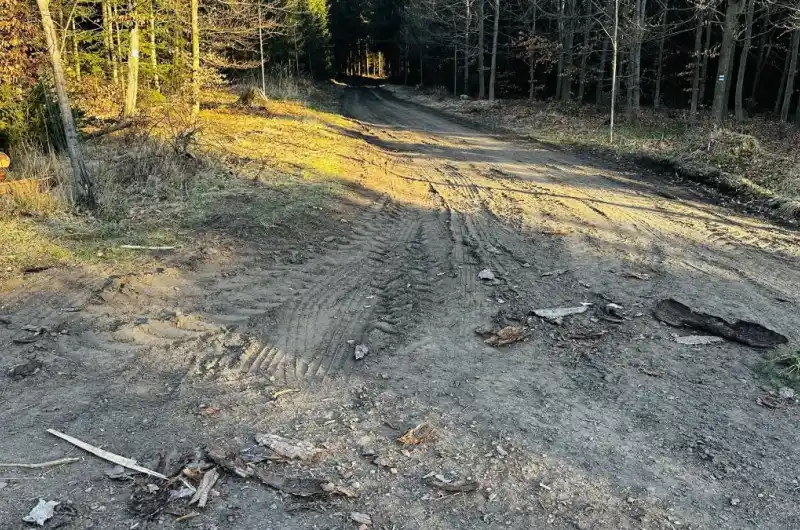 Kolovak