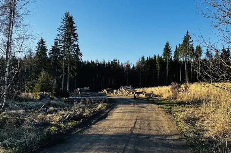 Kolovak 2 - kocarkem a na kole asi nejezdete do lesa?
