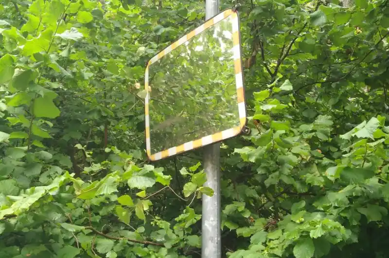 Zarostlé zrcadlo - ul. U Imperialu - lampa č. 50/33
