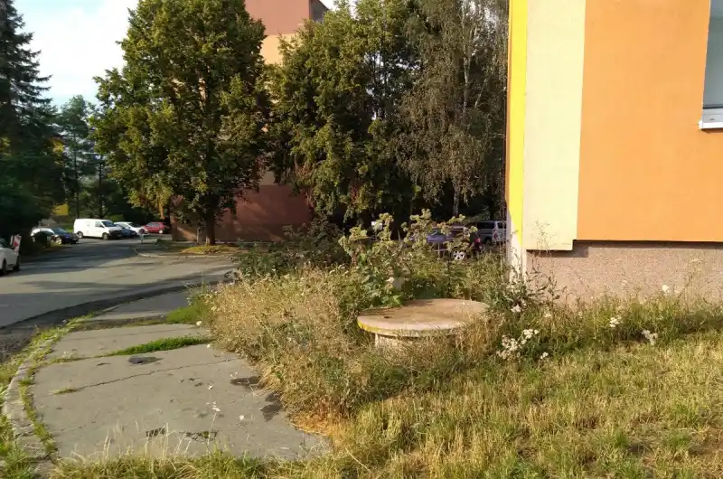 zarostlá plocha