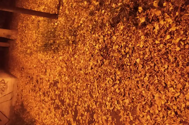 Nákladní 25