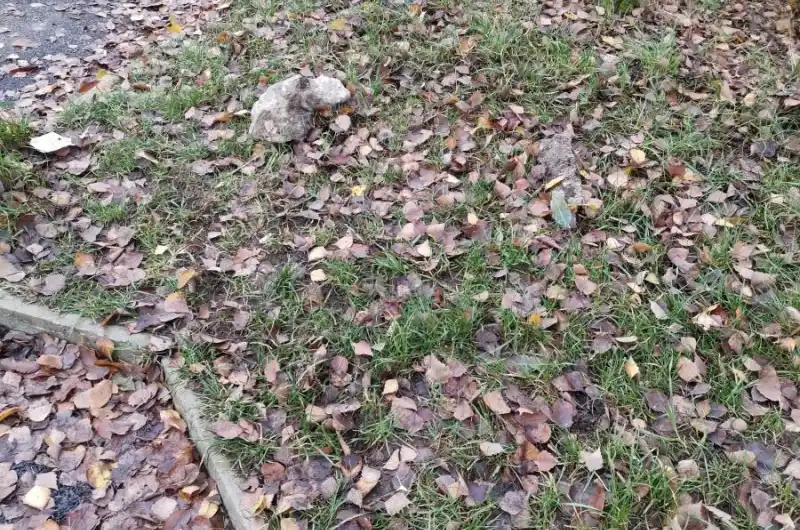 kusy betonu a dále vzadu je vidět naházený asfalt .