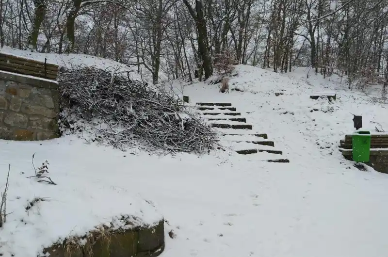 neuklizené klestí ve Hřbitovní ulici