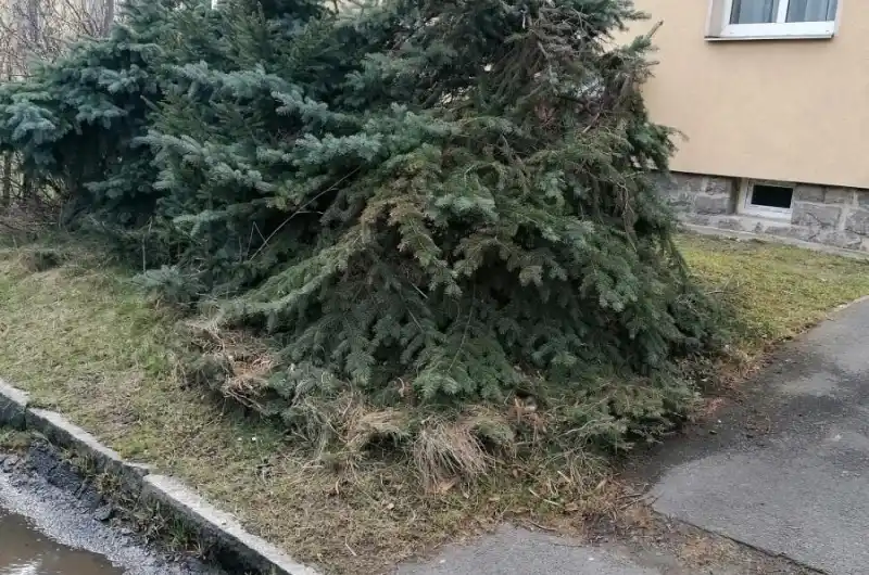 foto2