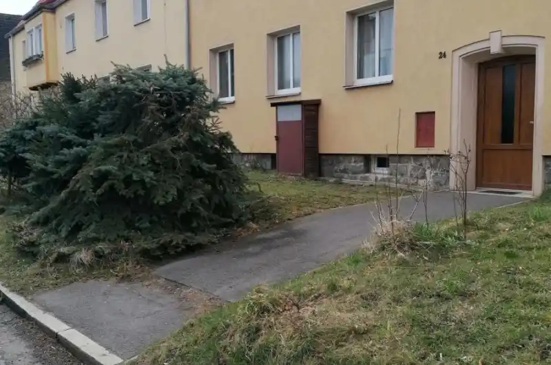 foto3