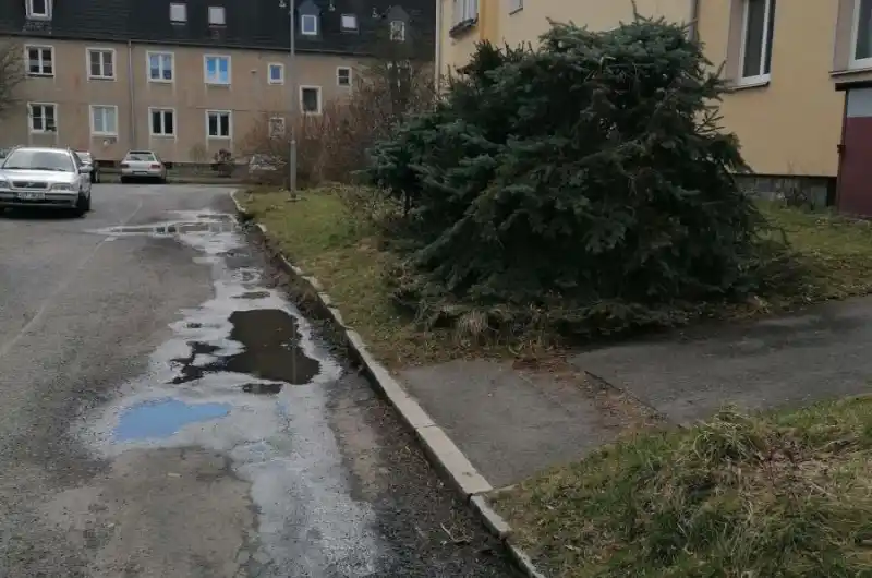 foto1