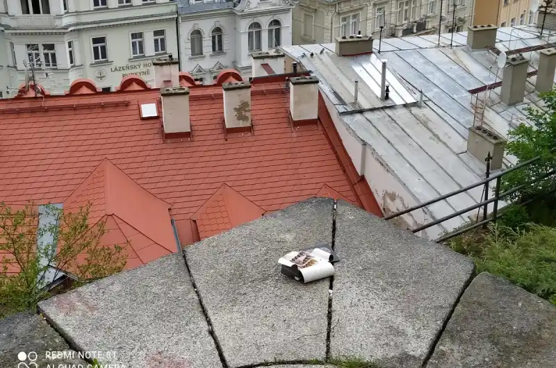 Prekurzory? 