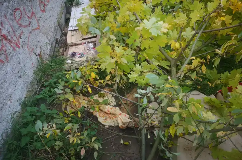 pozemek parcelní číslo 905/53, Drahovice