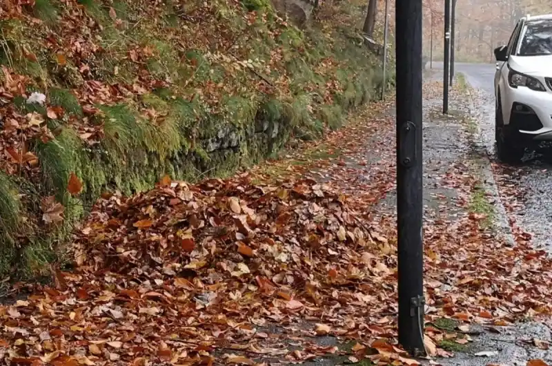 Fhhhh