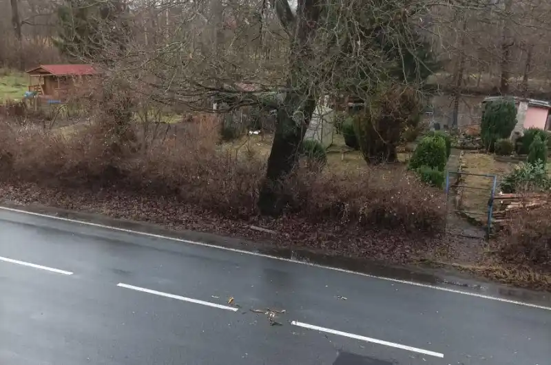 Větve na silnici 