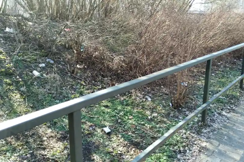 Nepořádek v keřích směrem k autobusovému terminálu