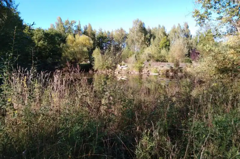 Tašovice-prostranství za parkem (rybník)
