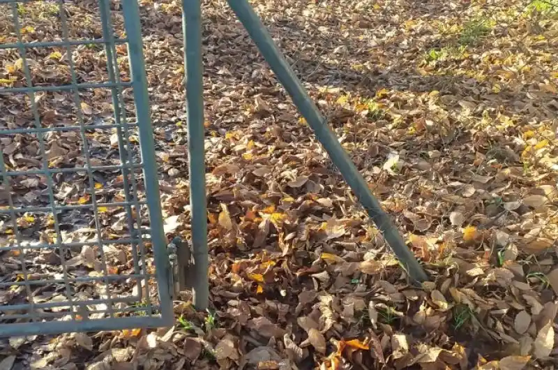 Díra v plotě.