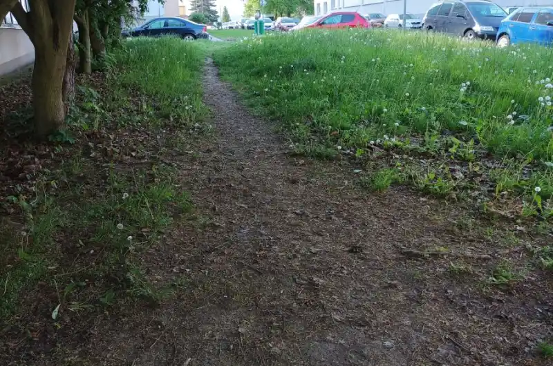 Xxxxx