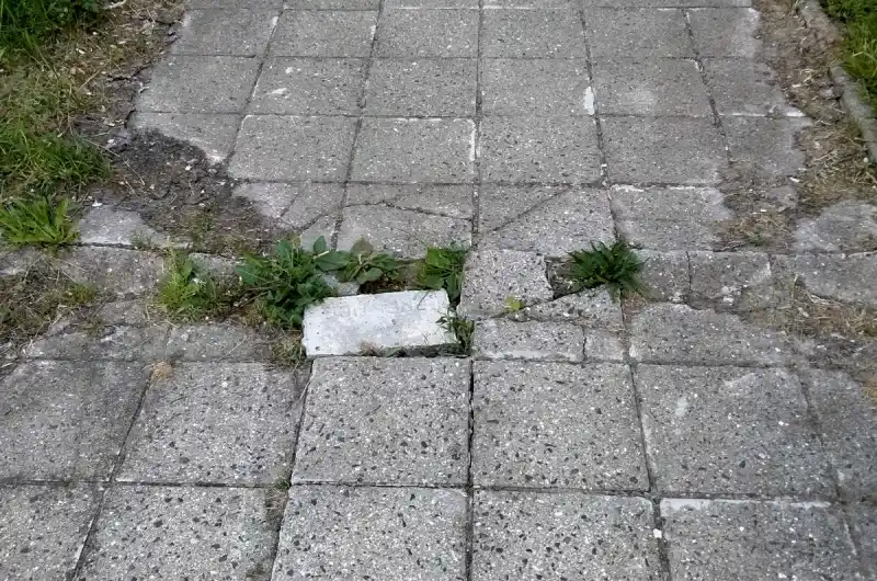 Poškození 1