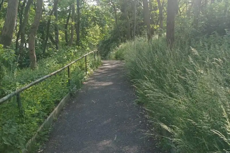 Chodník 2