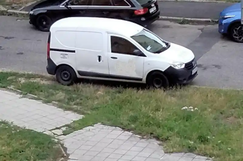 Parkování na trávníku