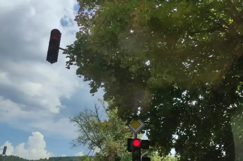 Téměř zarostlý semafor