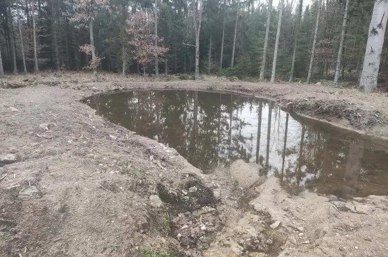 tůňka