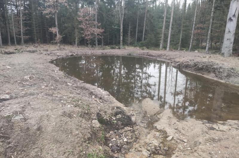 tůňka