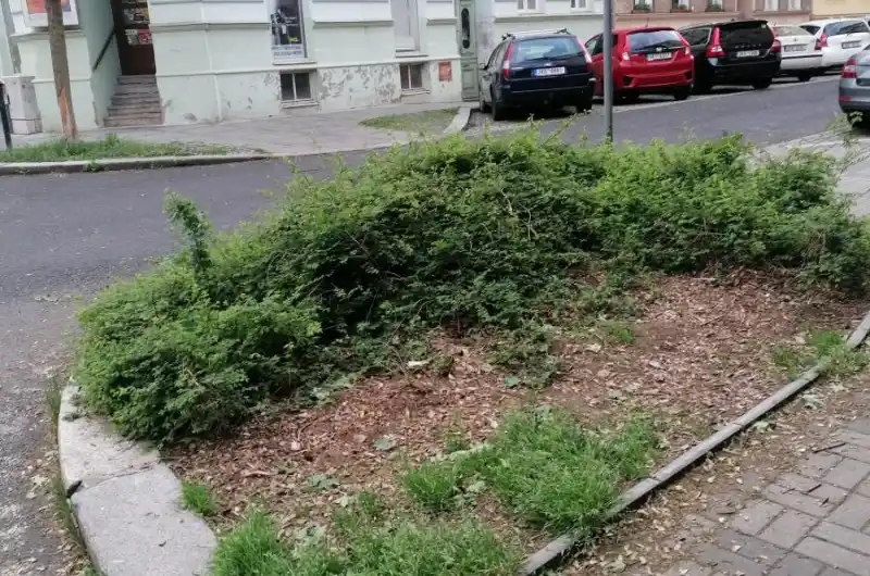 Místo pro strom