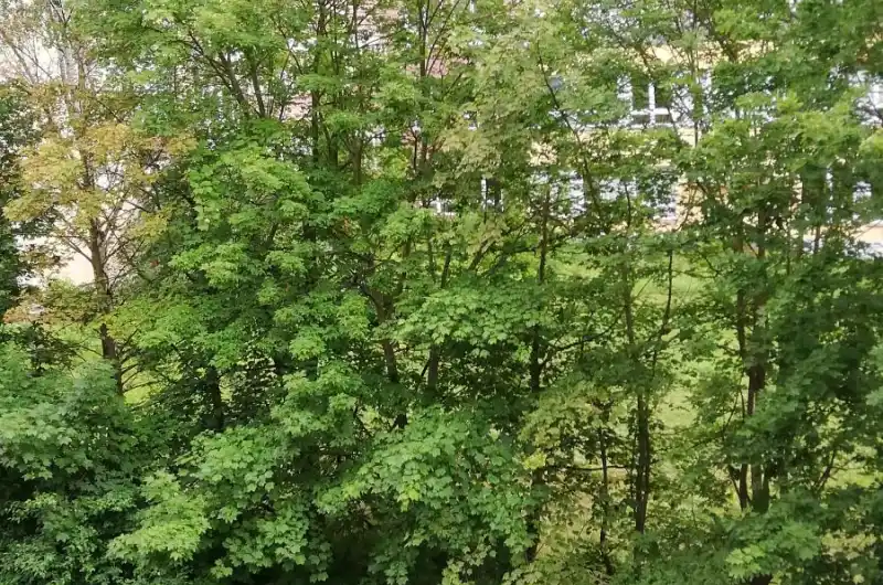 Aktuálně 