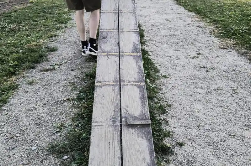 Kladina