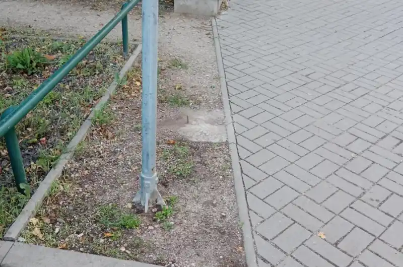 trn