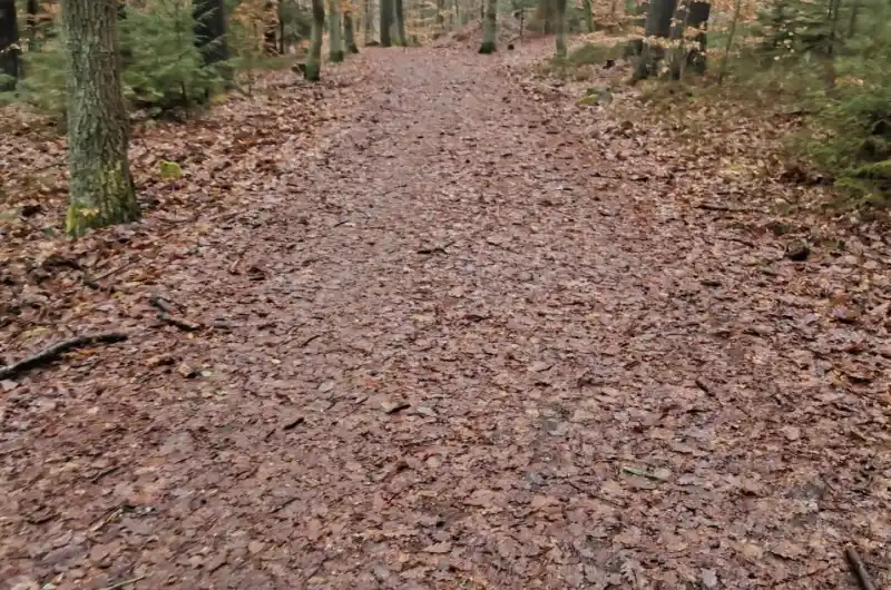 Silnice pod listím 