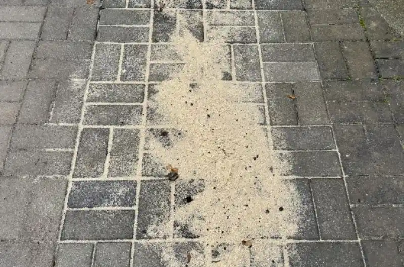 Čertův ostrov 