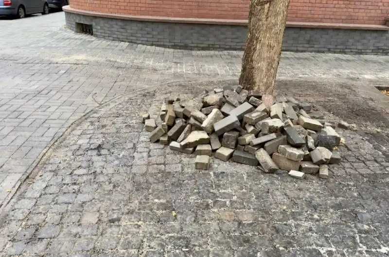 Nepořádek 