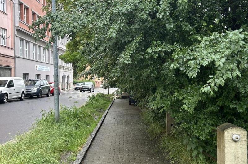 Nelze použít chodník větve skleněné téměř chodníku