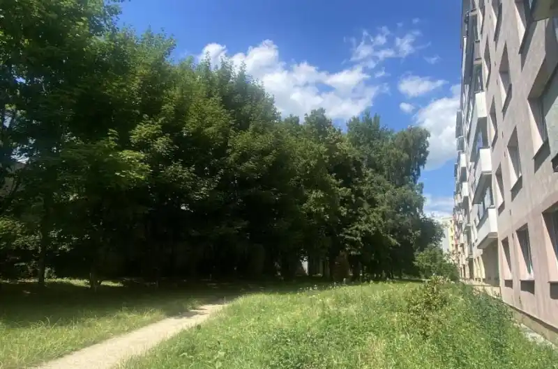 Pěšina 