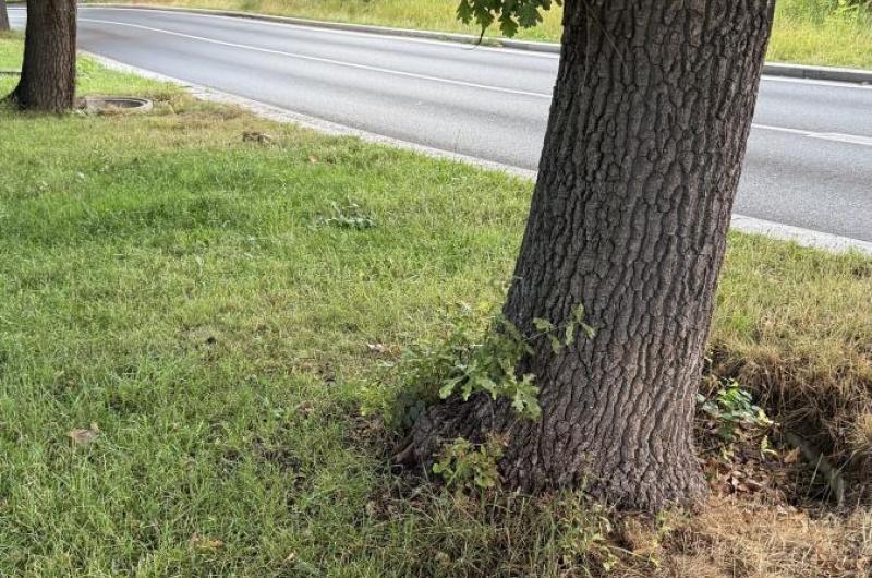 Stará Kysibelská pod kruhovým objezdem v Drahovicich