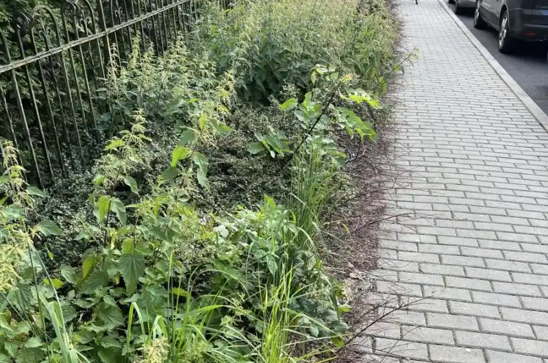 Koprivy