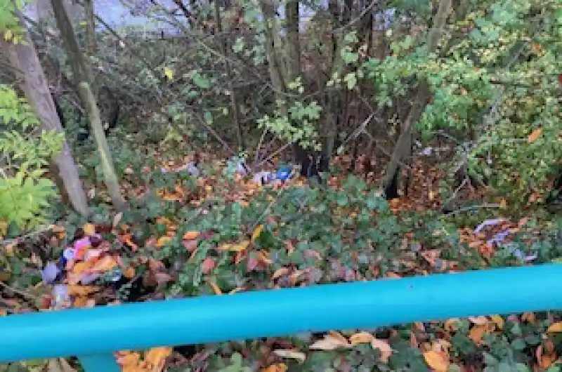 vyhozem domovní odpad v igelitových pytlích