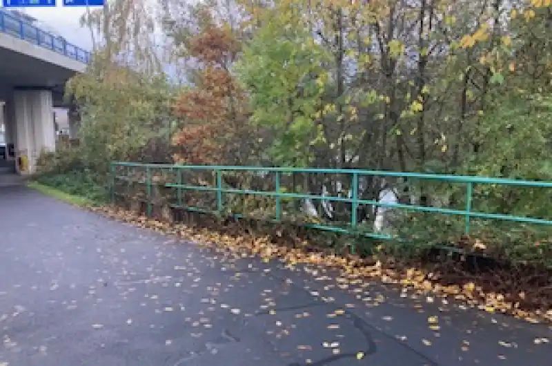 nepořádek