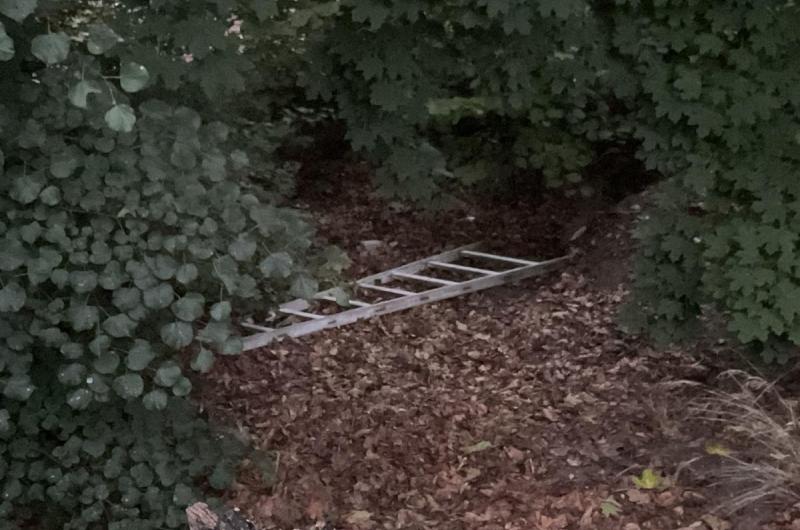 Opuštěný žebřík