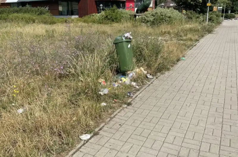 Foto