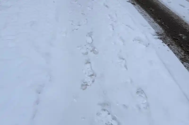 Neposypáno