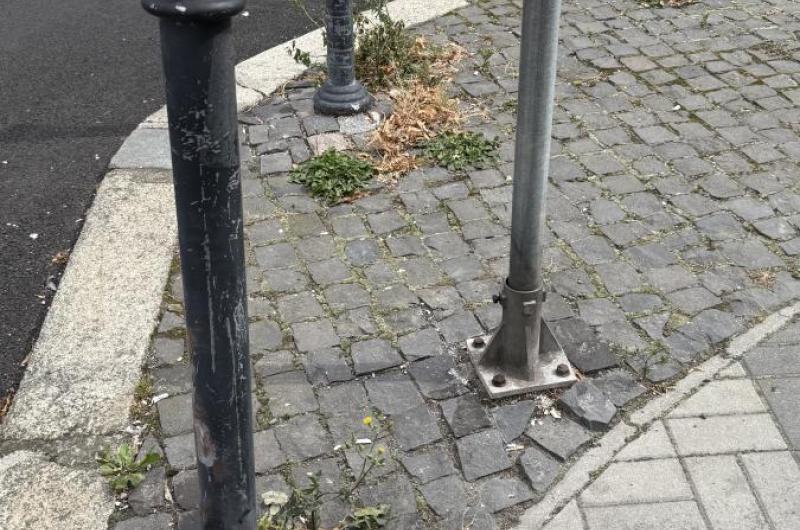 Plevel úplně všude, skoupky rezave