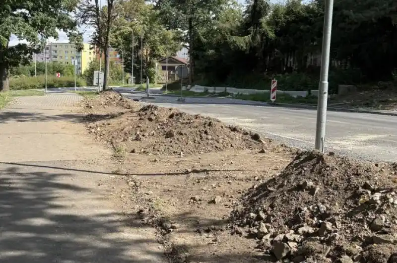 Chybějící stromy 
