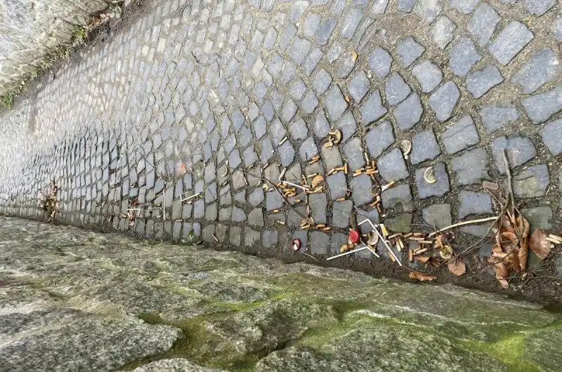 Někdo vysypal opadky na chodník nad budovou Bývalý izraelitský starobinec, pod ulicí Bezručova - zkratka pro pěší z Bezručova dolů o OVO baru. Prosím zajistit úklid. Děkuji.