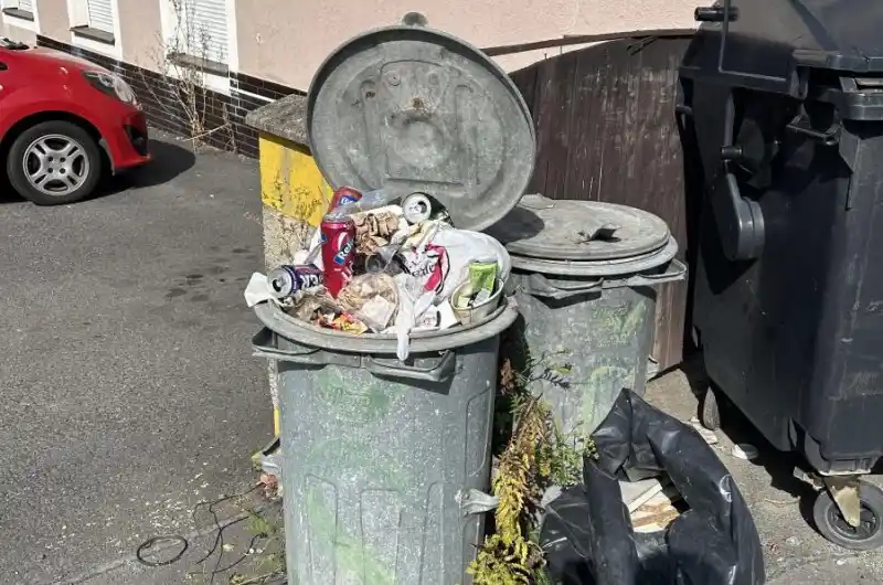 Popelnice